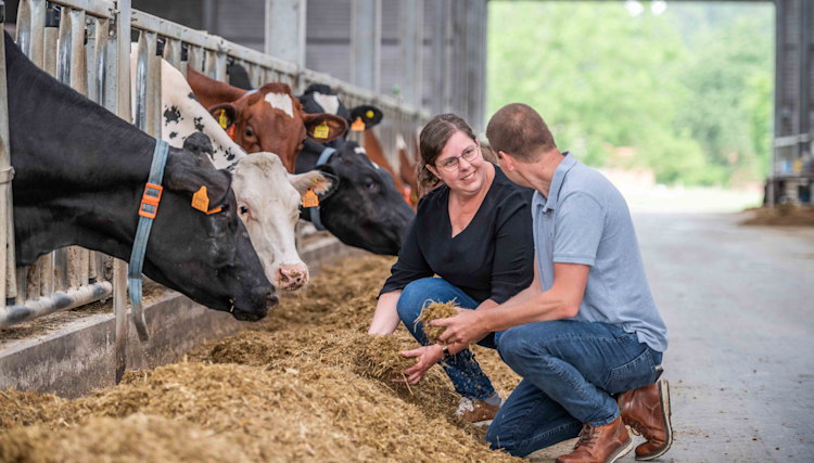 Wil je tips om de eiwitefficiëntie op je bedrijf te verhogen?