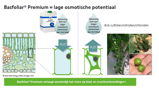 Nieuwe vloeibare kaliumbladmeststof in het gamma