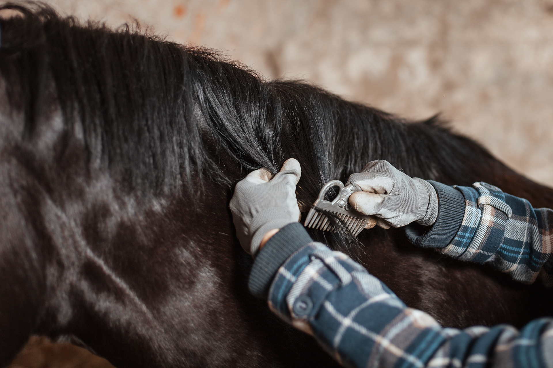 Alles voor paarden aveve verzorgingsaccessoires