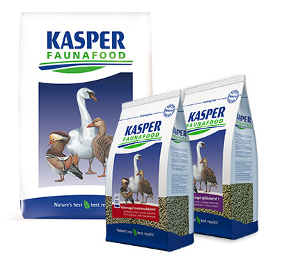 watervogel afbeelding