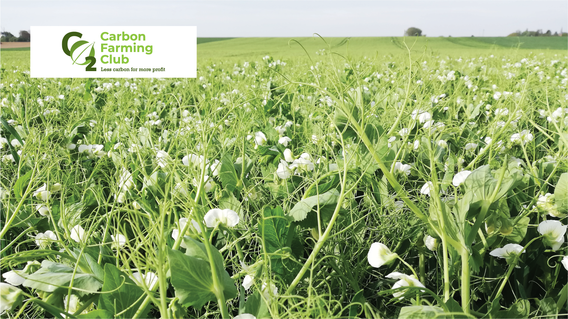 Carbon Farming Club Image