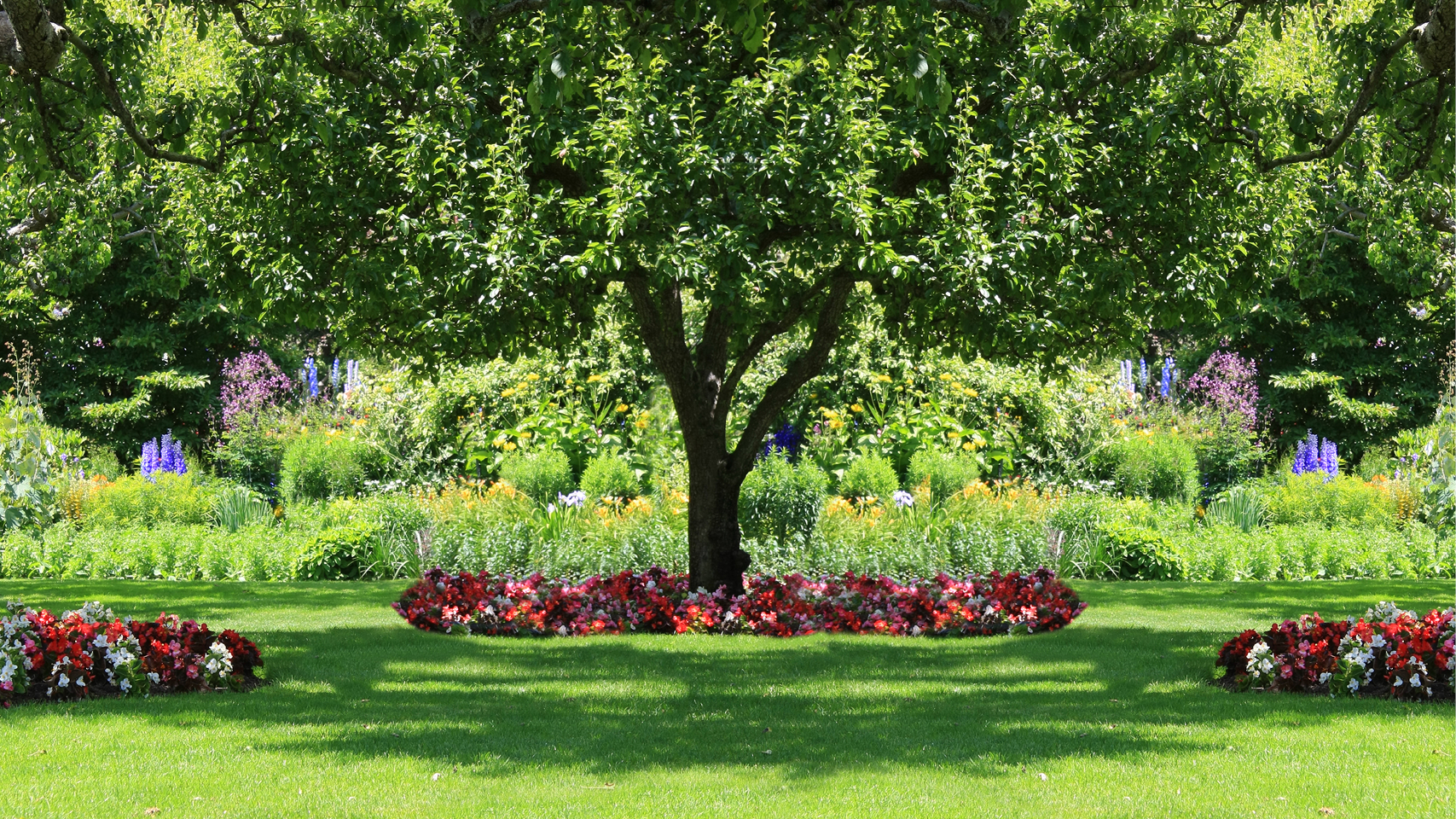 Floriculture 1280x720px