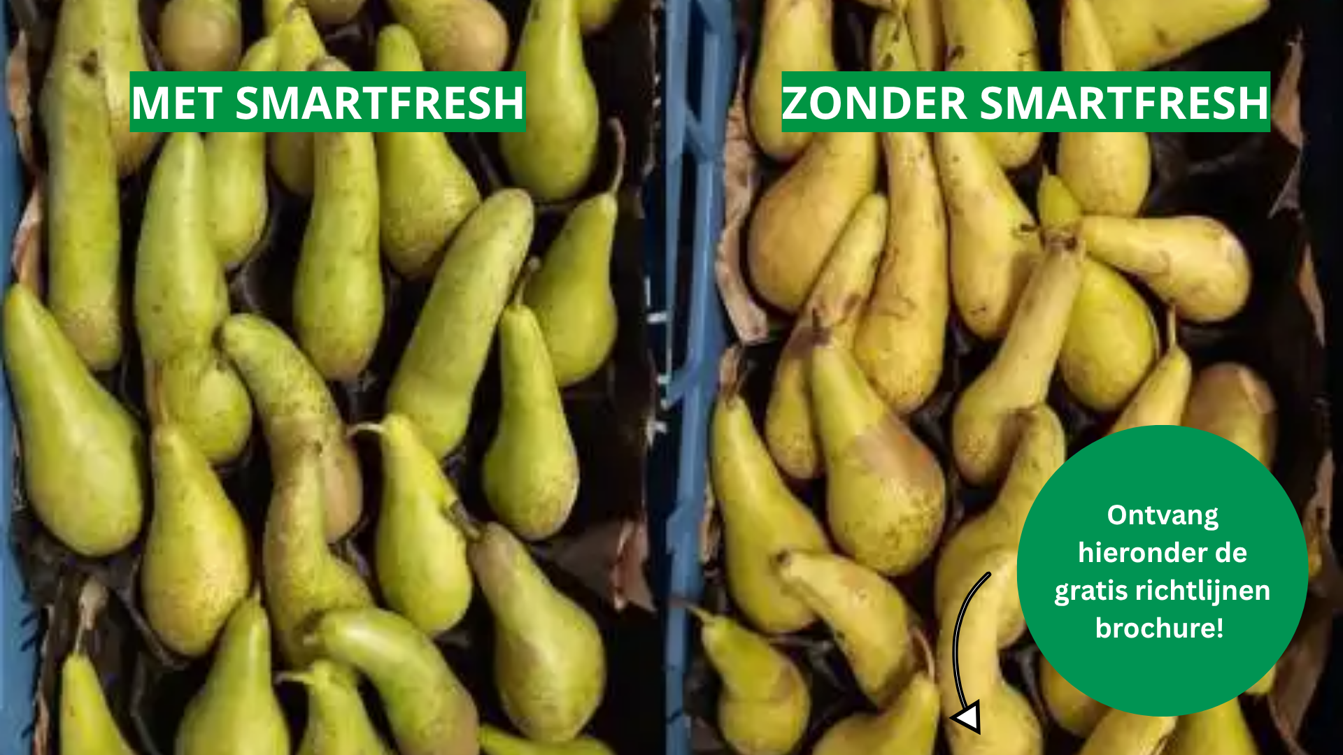 SmartFresh campagne 2025