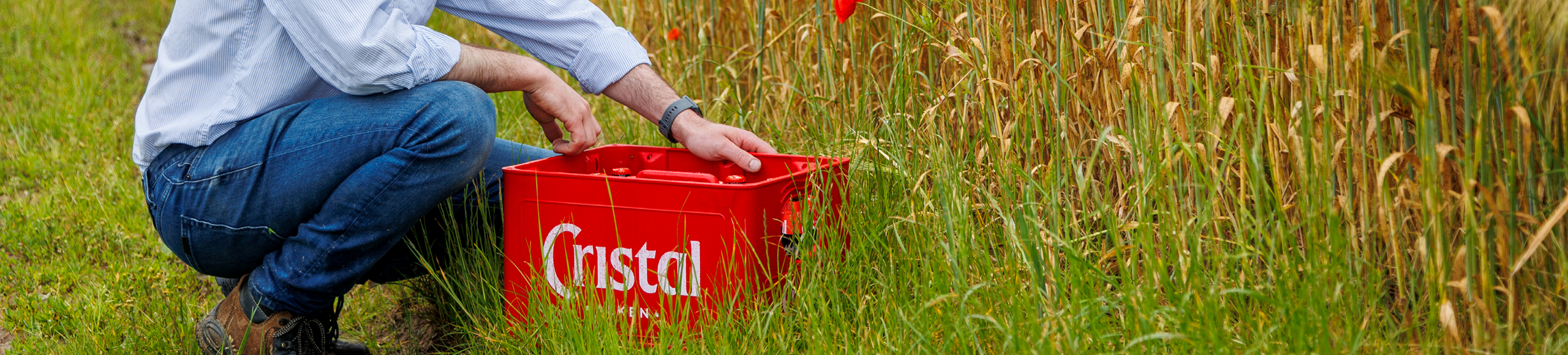 100 landbouwers zorgen met Arvesta en Cristal voor nieuwe oogst brouwgerst  1920x435px