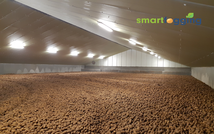 Smartfogging 968x605px