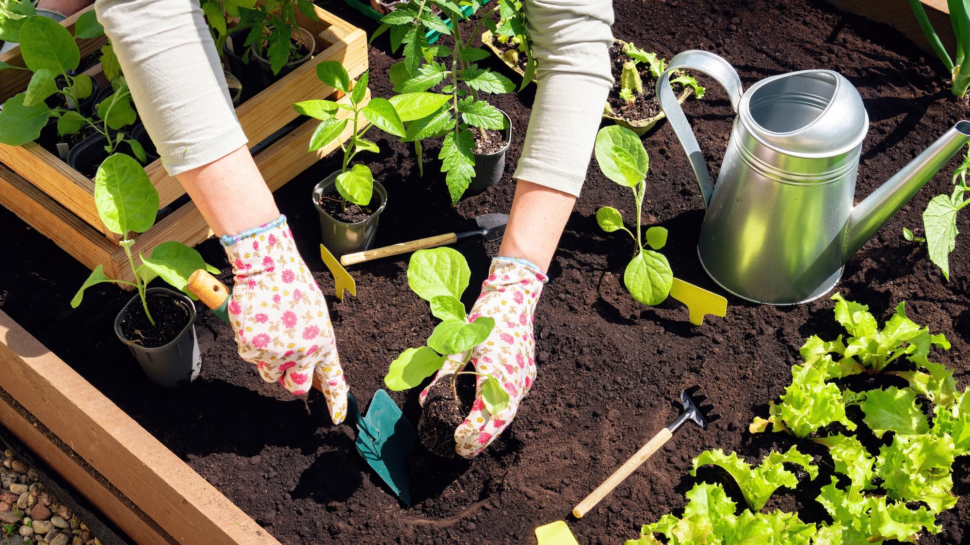 Femme qui porte des gants de jardinage et qui travaille la terre – Aveve