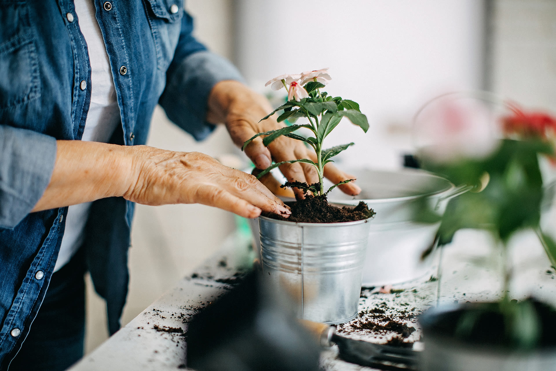 Alles voor je tuin aveve toebehoren