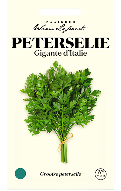 Peterselie Gigante d'Italie