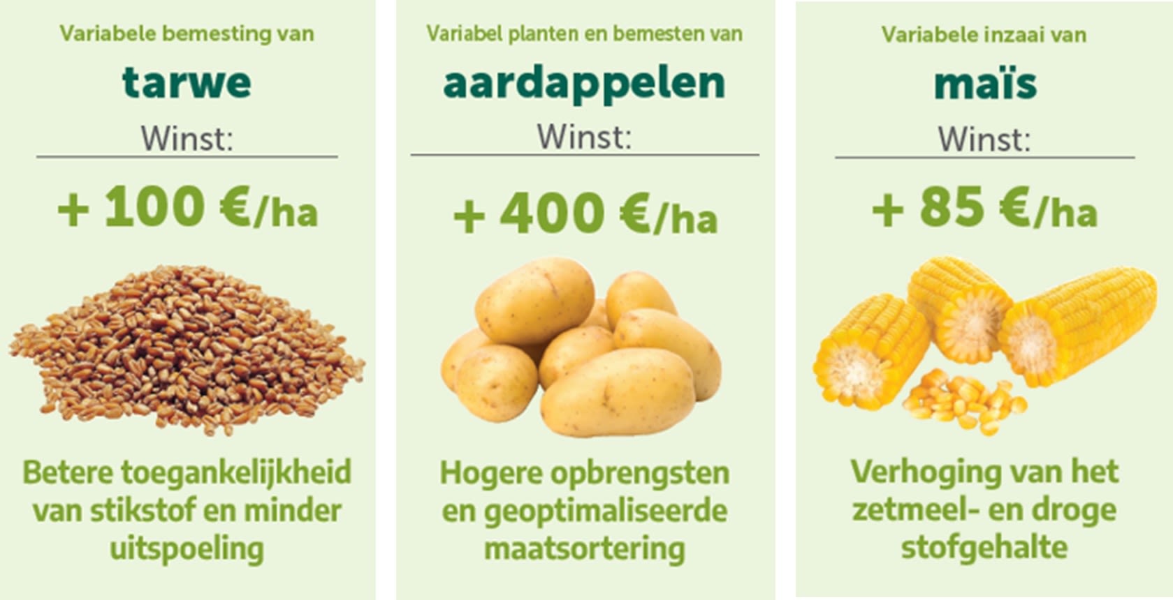 03.02 Nieuwsbrief AH Varicare I2