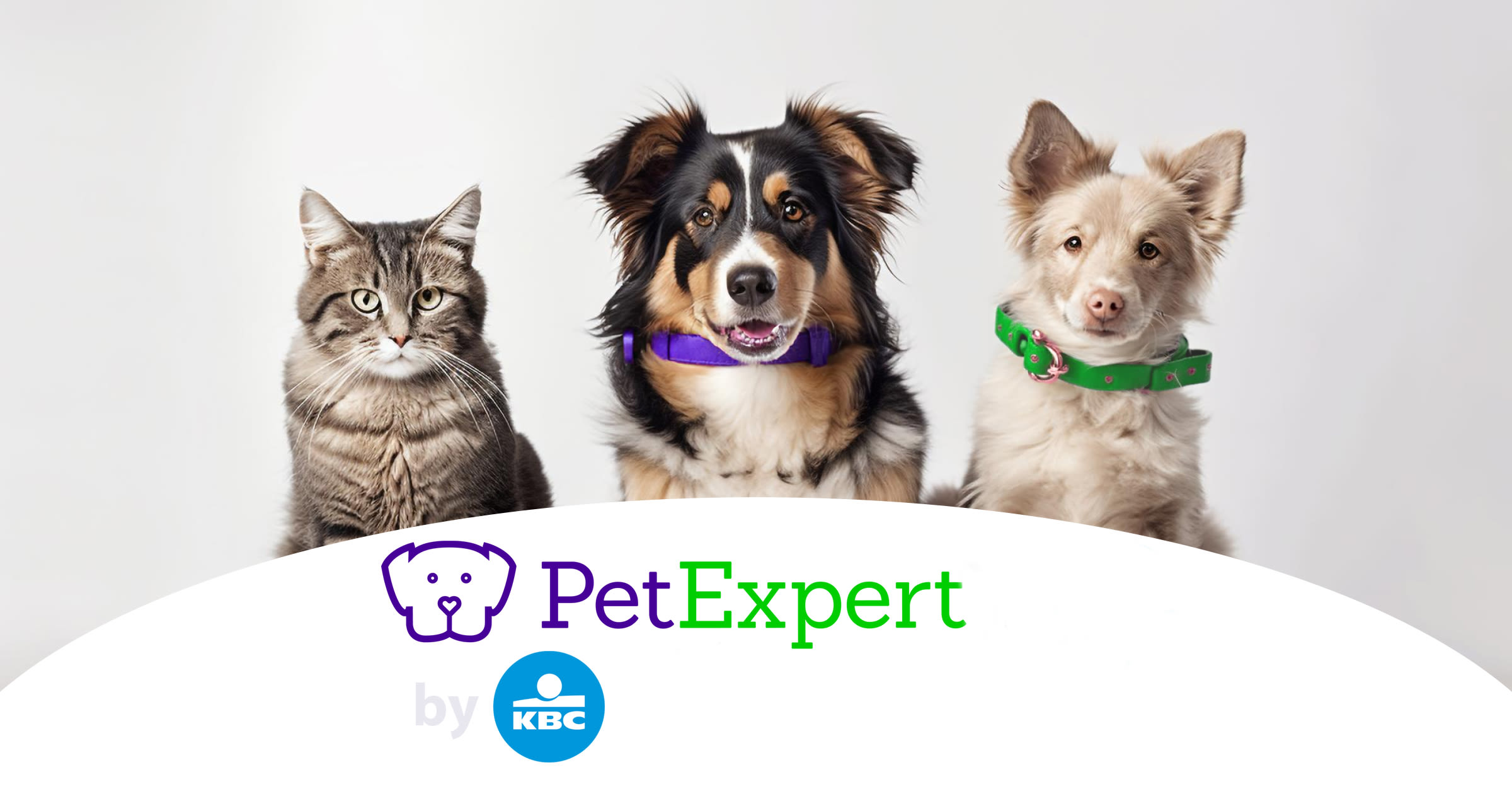 Assurance KBC PetExpert pour chats et chiens
