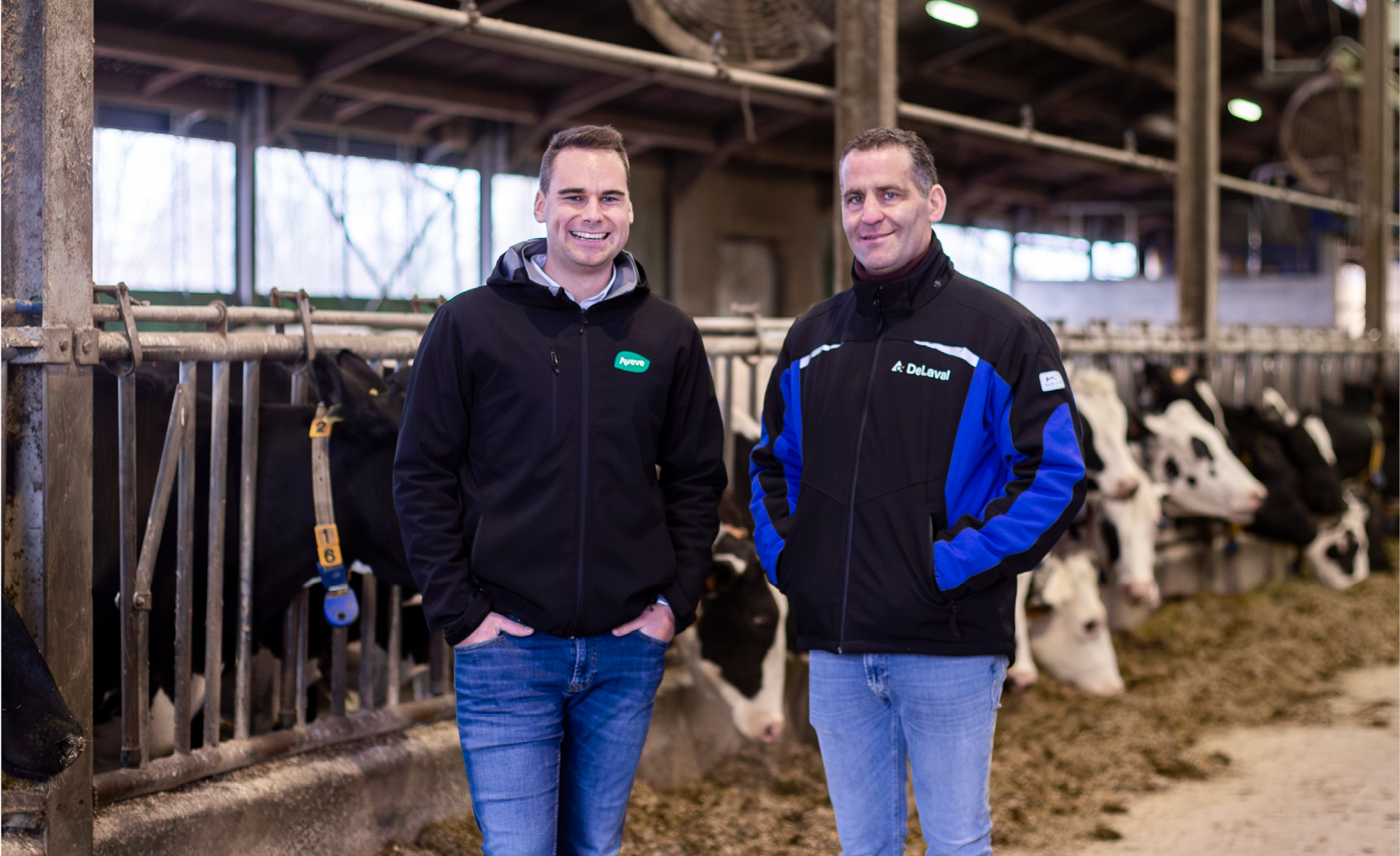 Voedingsadvies op maat van robotmelkers 968x592px