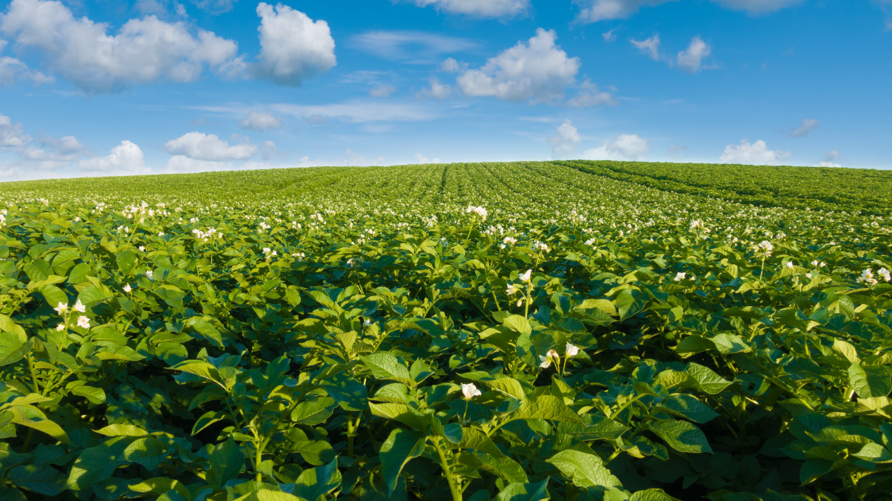 Vous souhaitez en savoir plus à ce sujet ?