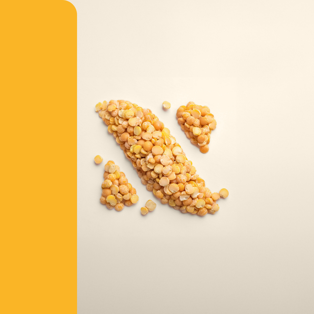 5 Reasons Why Every European Bakery Producer Should Integrate Nuverta Pea Protein and Pea Starch 