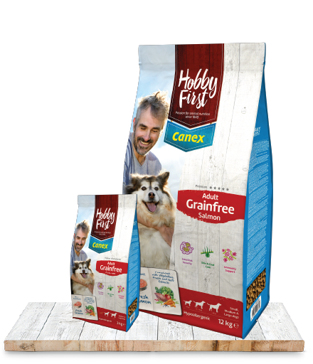 Adult Grainfree Salmon