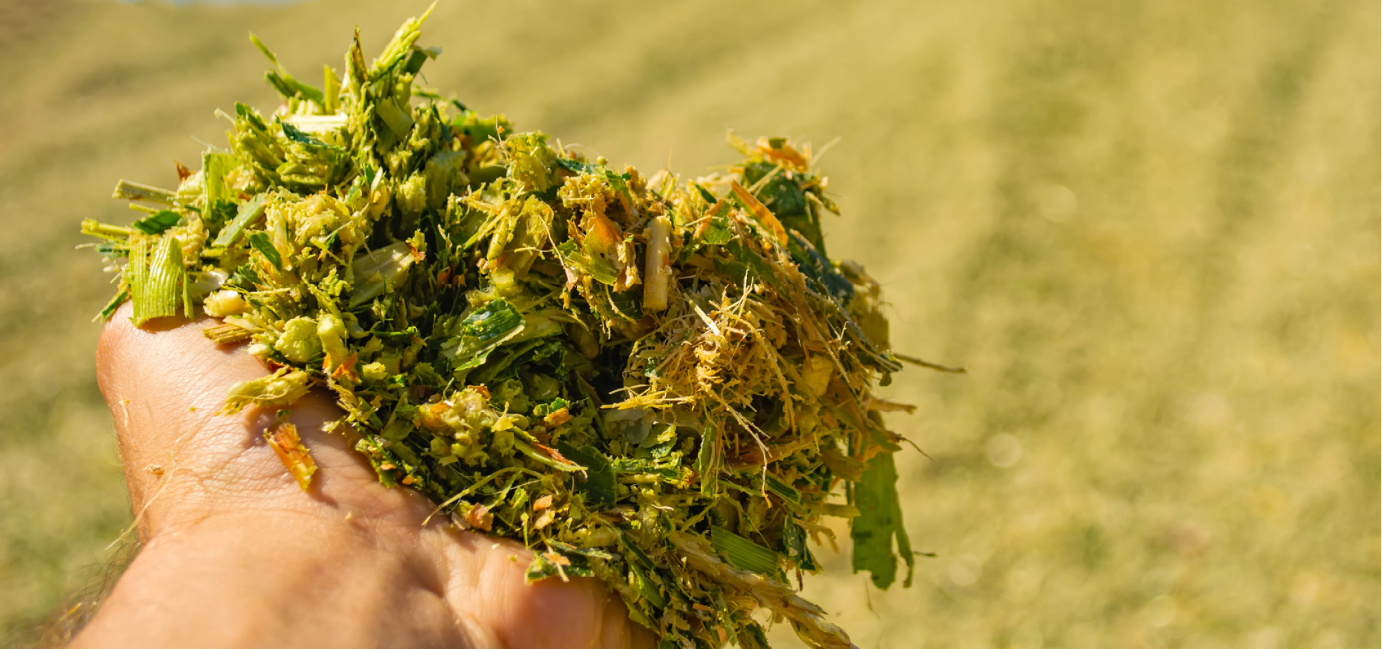 Verteerbaarheid 968x455px