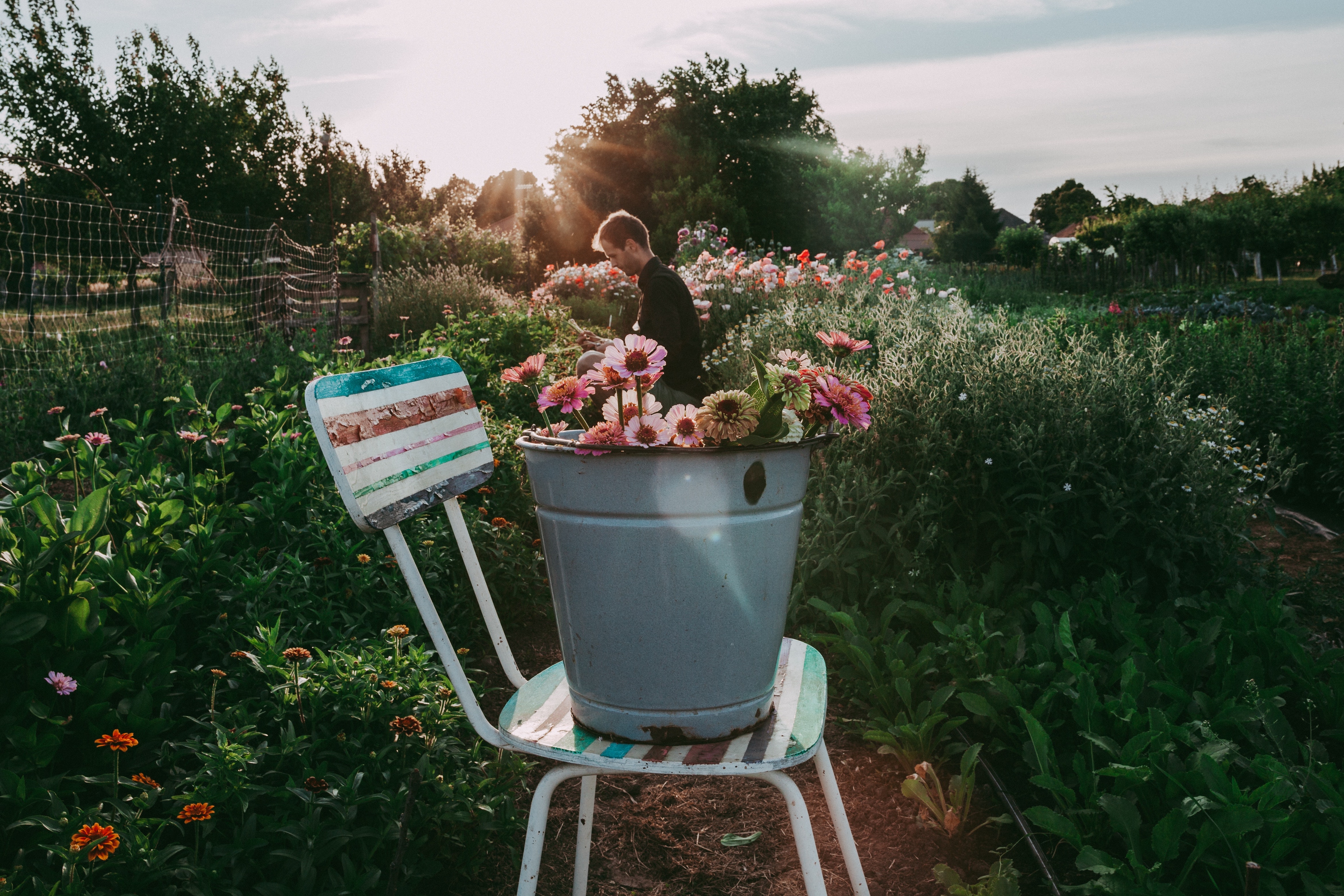 Alles voor je tuin aveve emmers