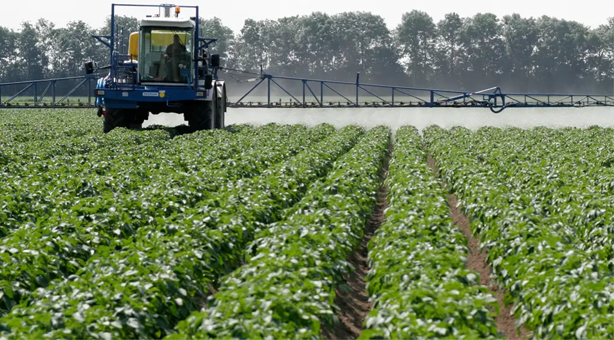 Gewasbescherming 968x536px