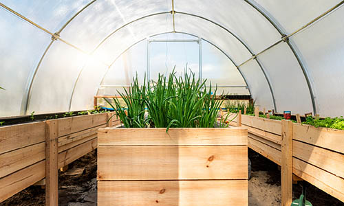 Afbeelding van de binnenkant van een serre met zicht op een zonnige tuin