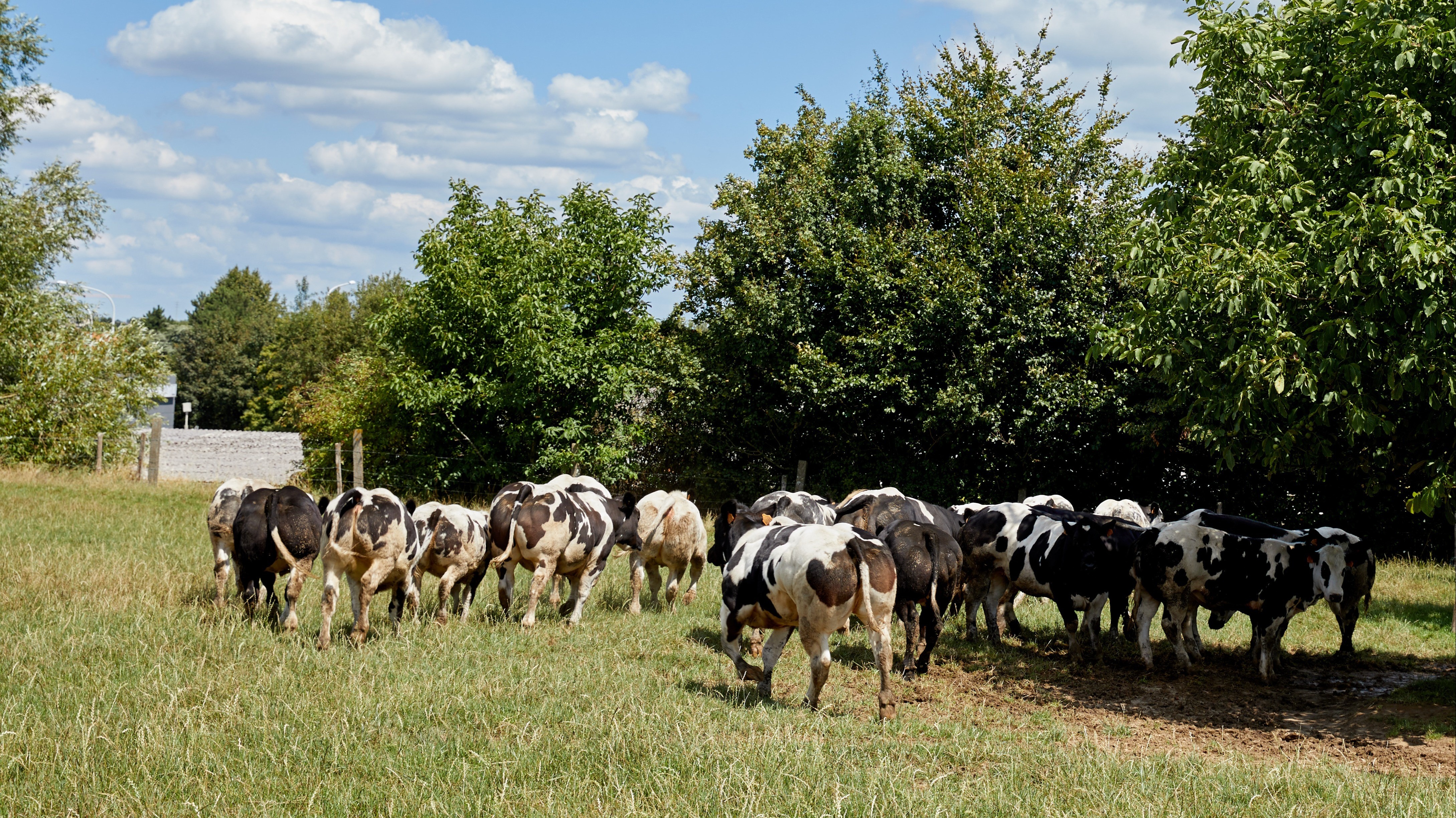 JV_Hittestress_Tips2