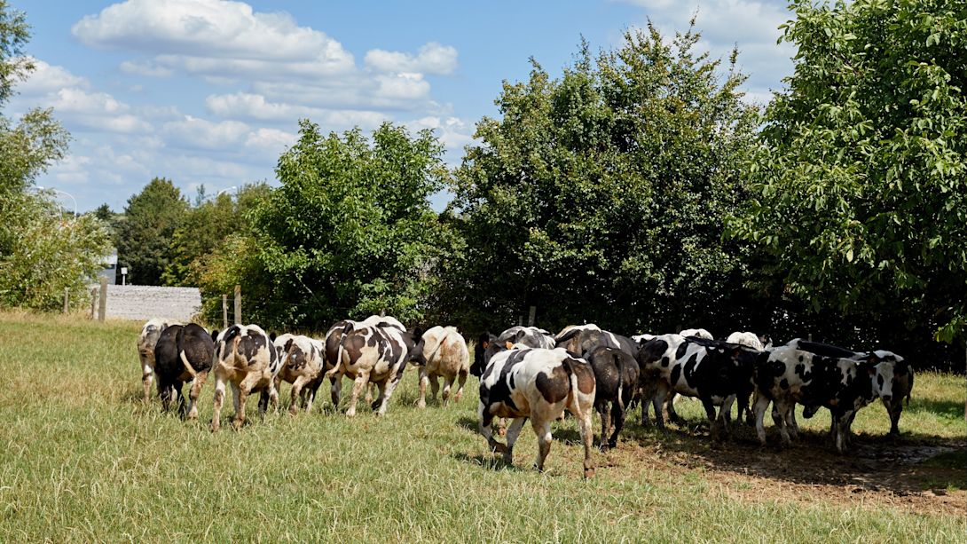 JV_Hittestress_Tips2