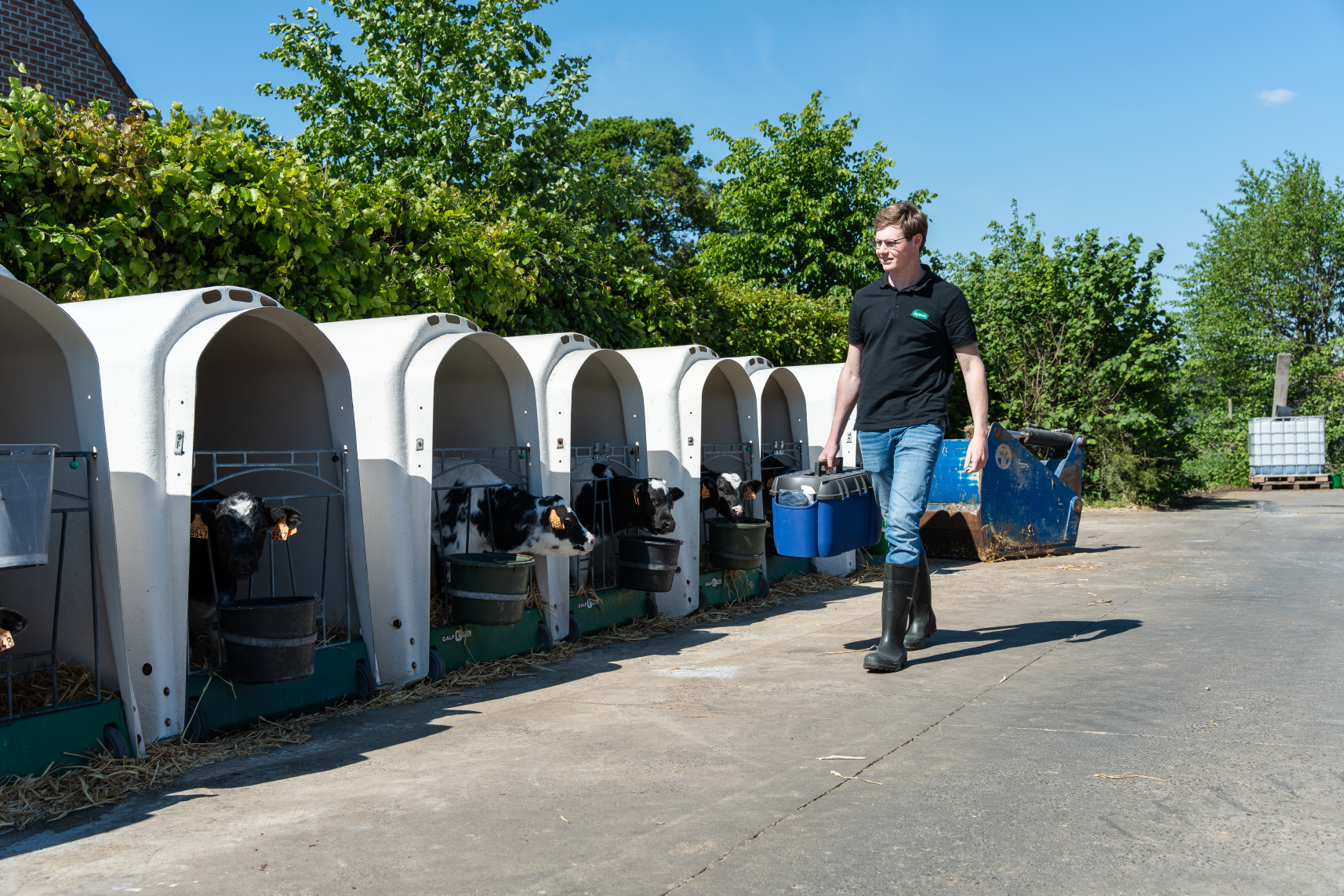 Van dracht tot stal_JV