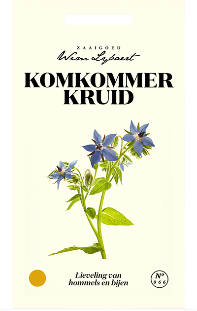 Komkommerkruid
