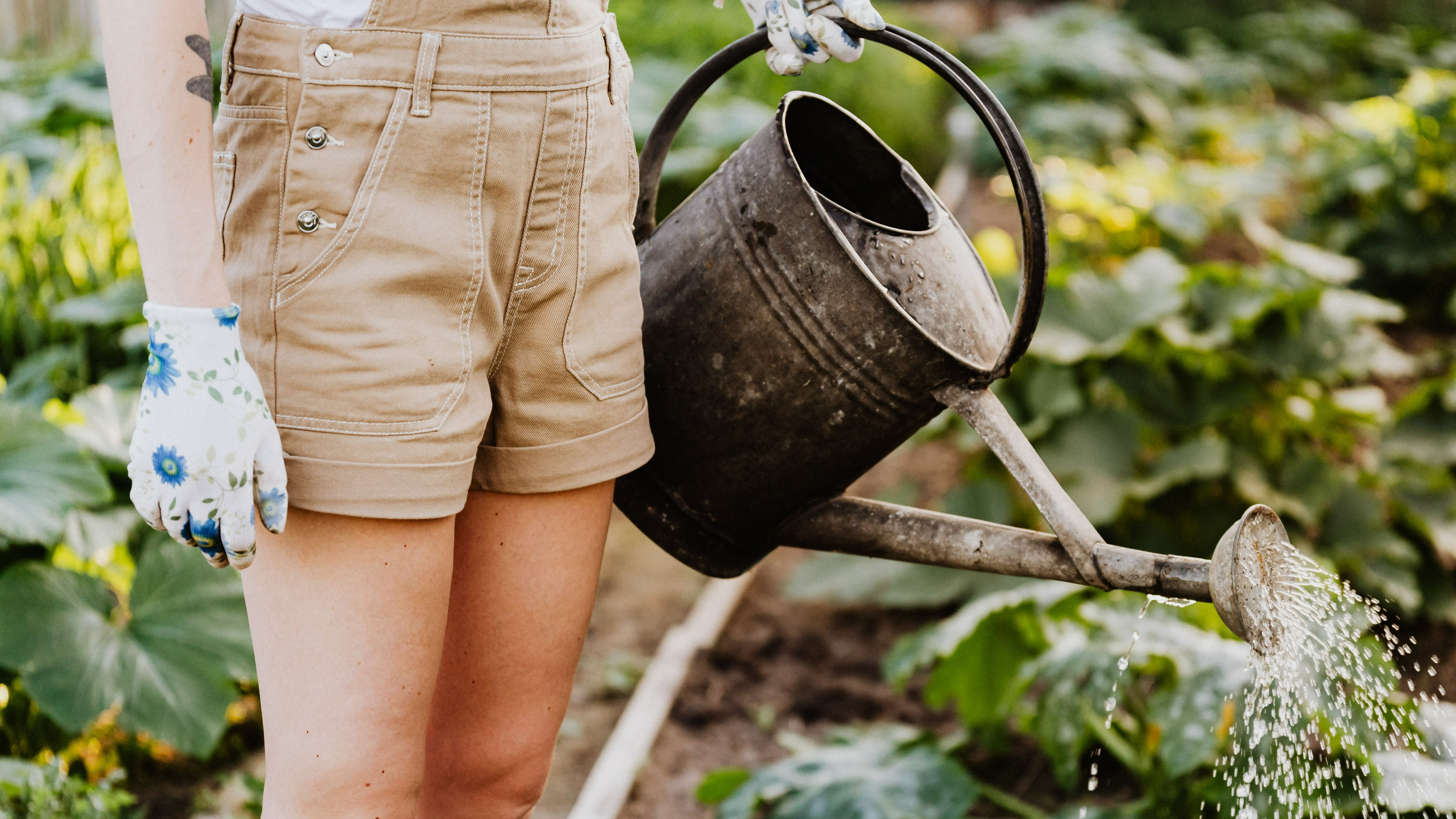 Alles voor je tuin aveve gieters