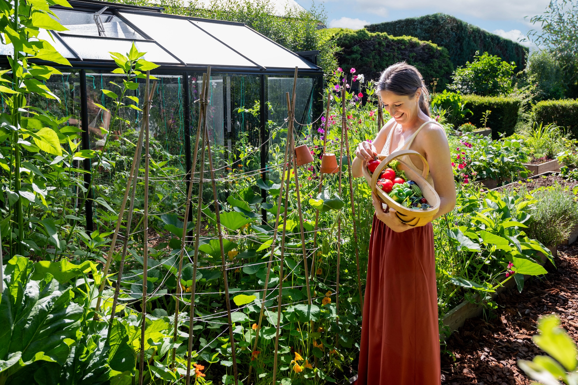 image: moestuin van Sofie 3