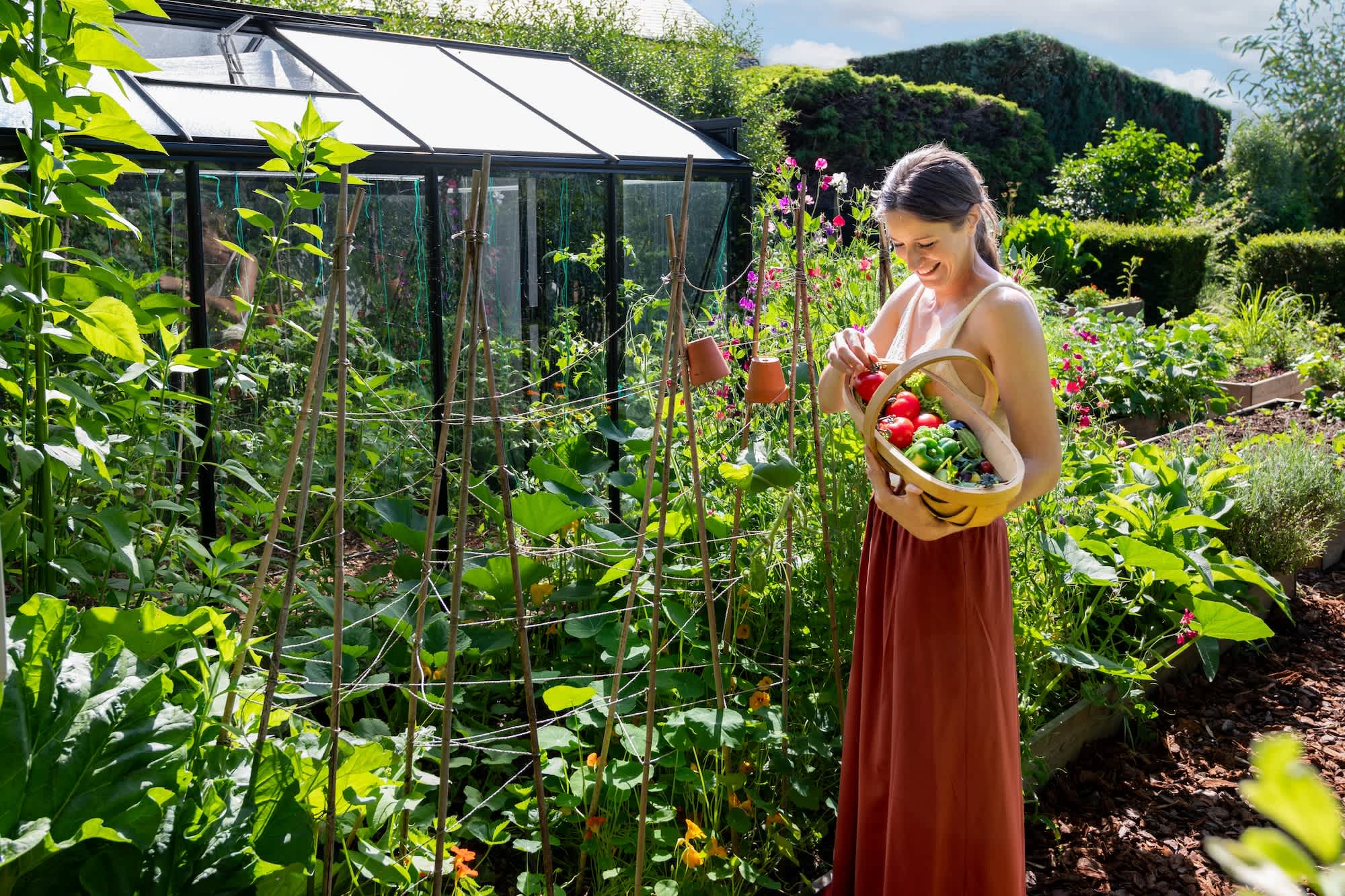 image: moestuin van Sofie 3