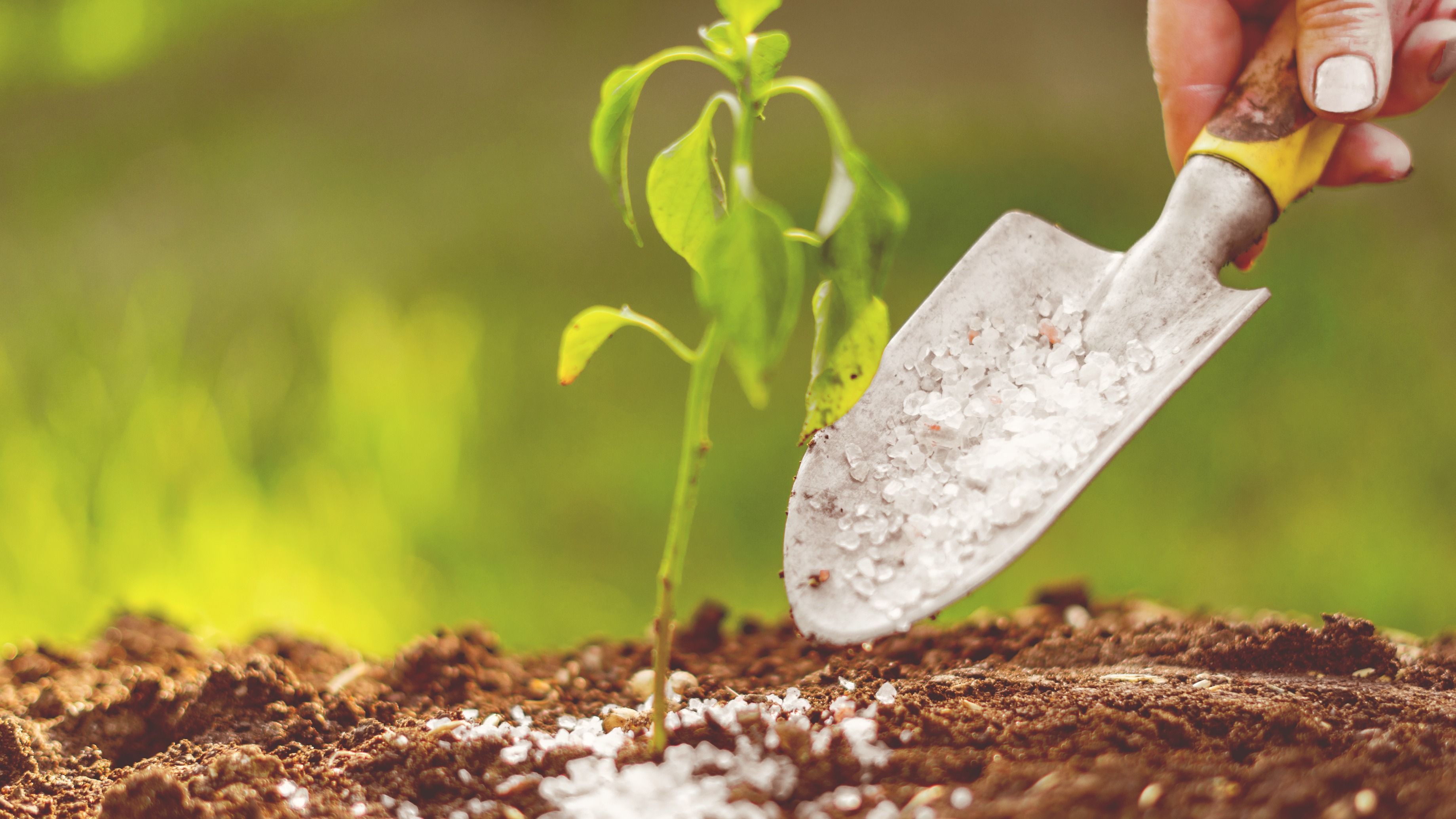 Alles voor je tuin aveve meststof