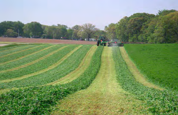30.05.2025_AN_Nieuwsbrief_Ruwvoeder