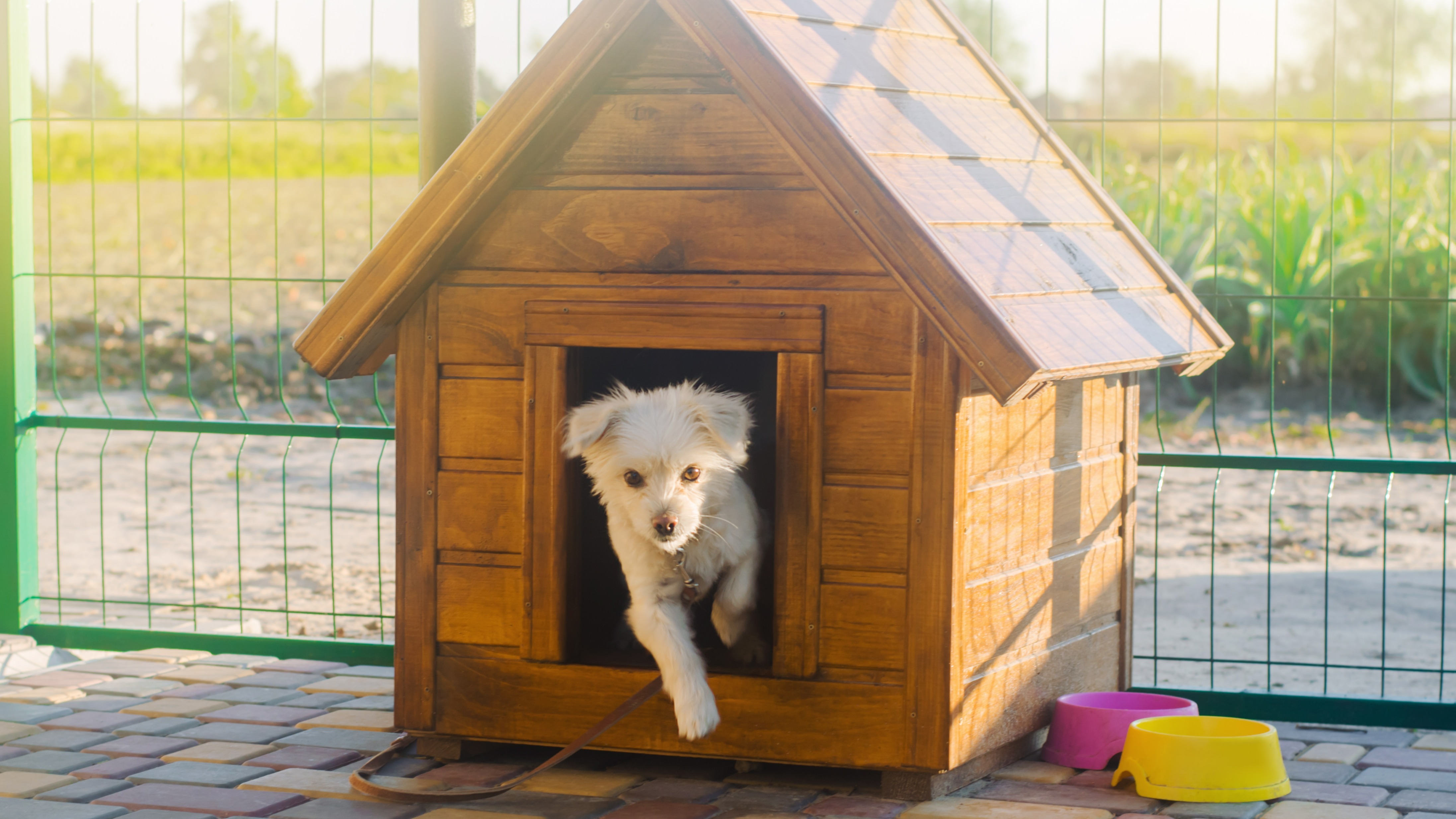Alles voor honden aveve hokken