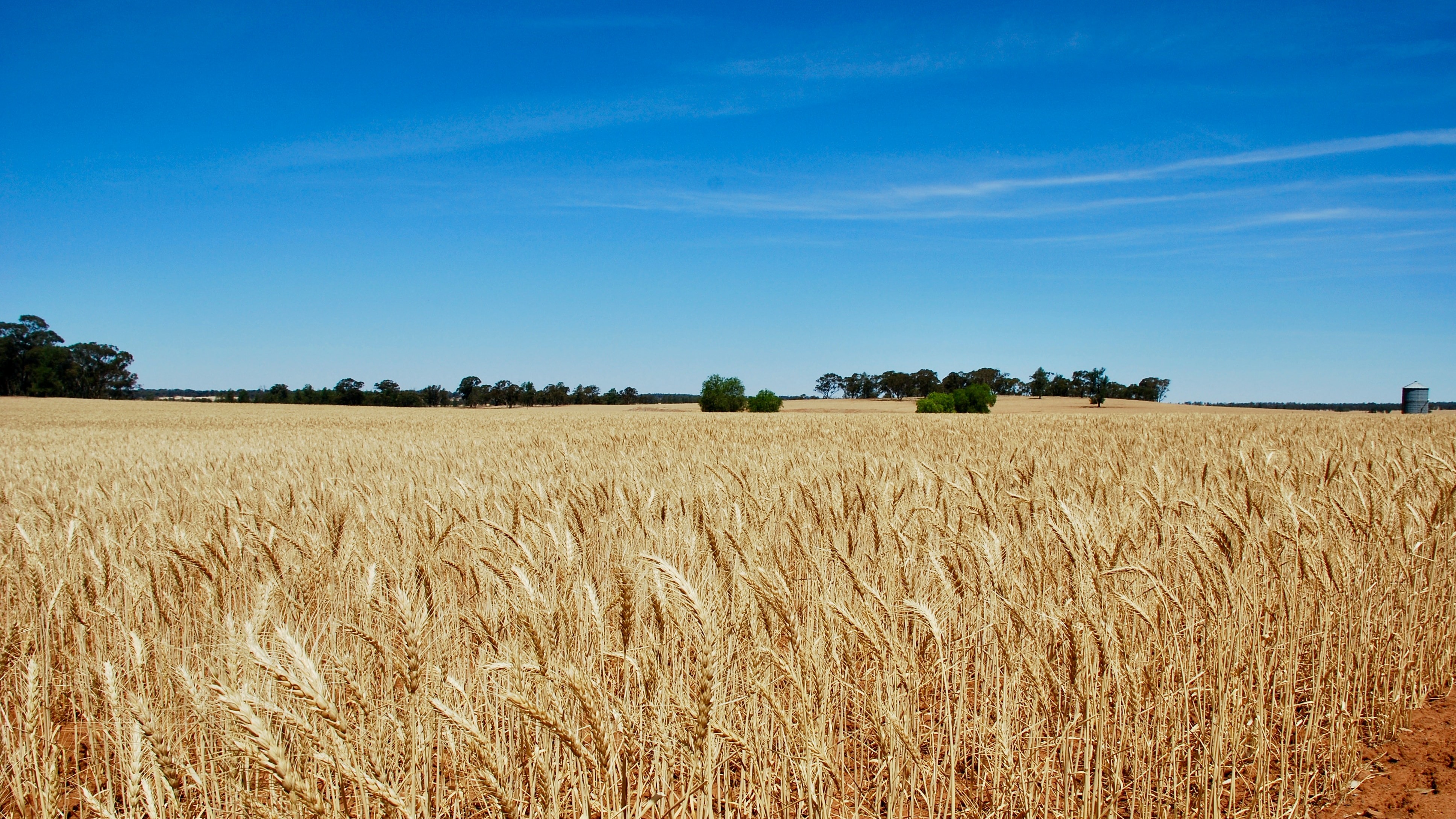 Kramer Tractor KL25.5