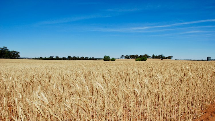 Kramer Tractor KL25.5