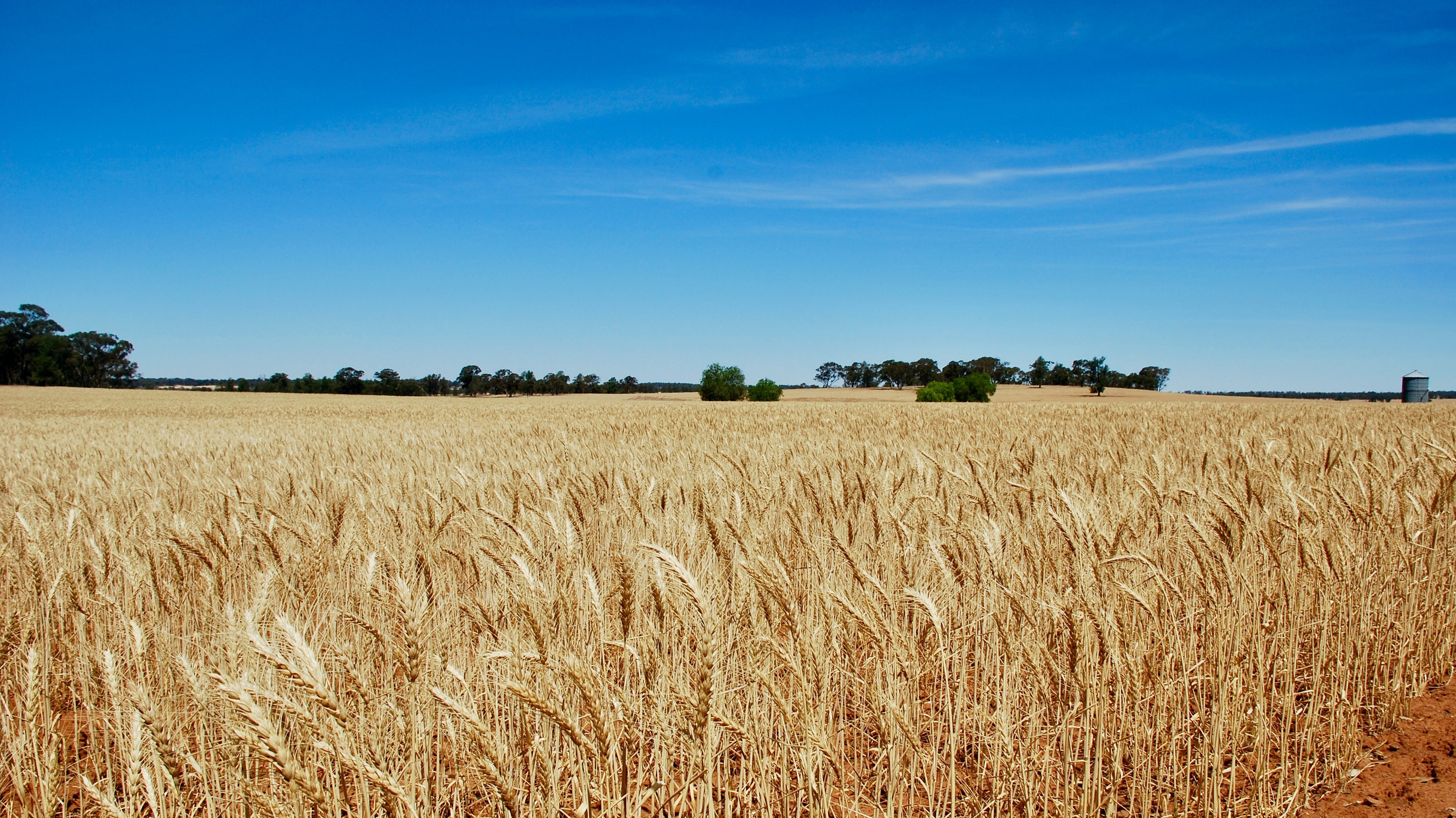 Kramer Tractor KL25.5