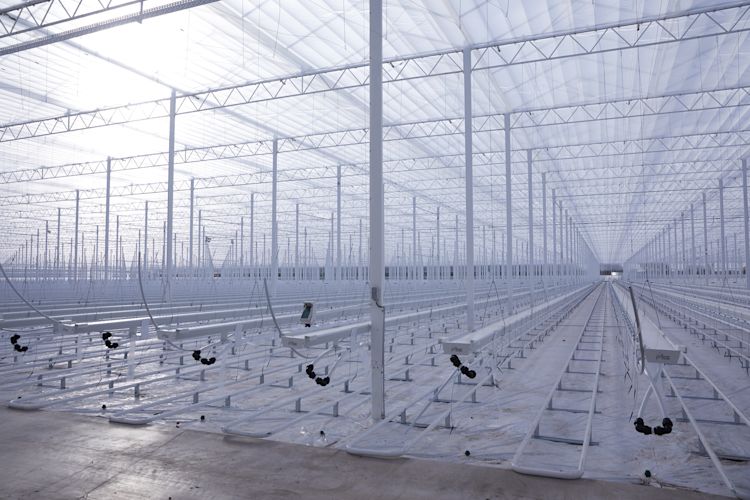 Tuinbouwautomatisering