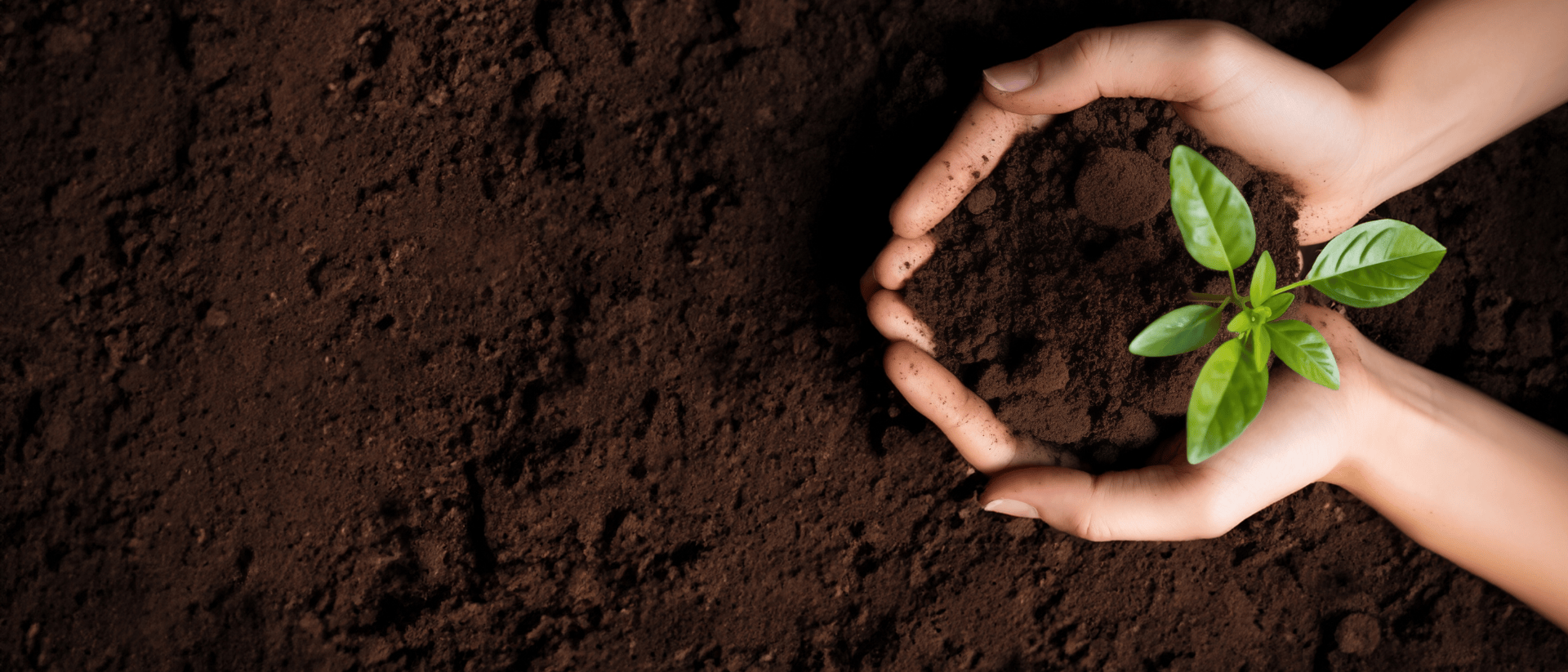 Les différentes gammes 