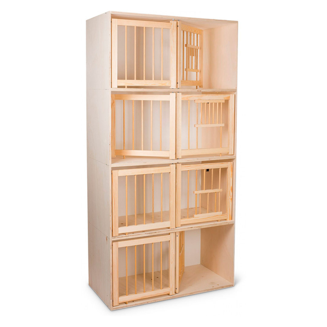 Image Junior Extra Wood 4