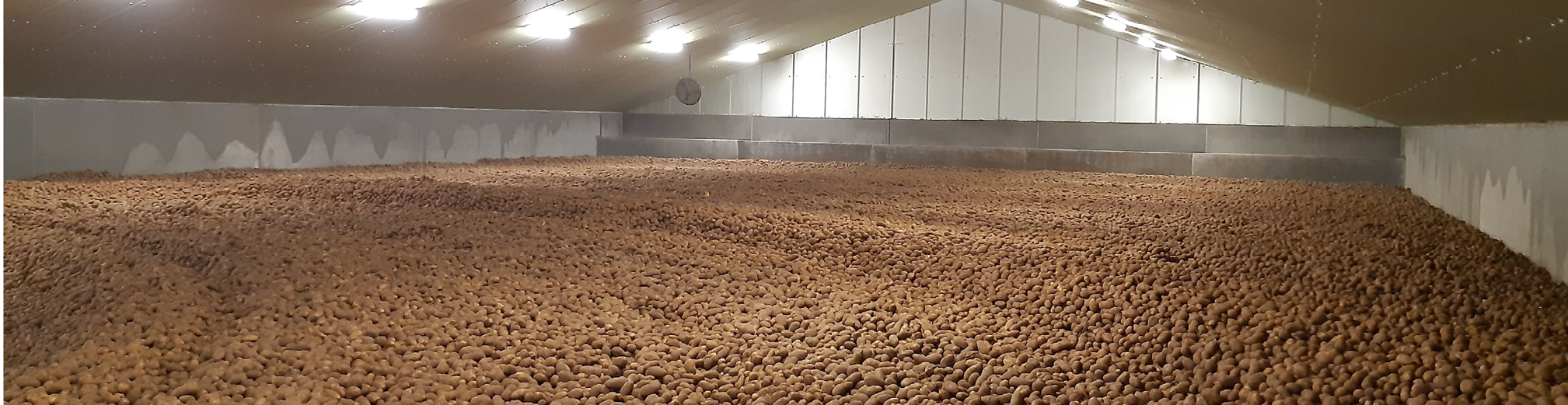 Smartfogging 968x250px