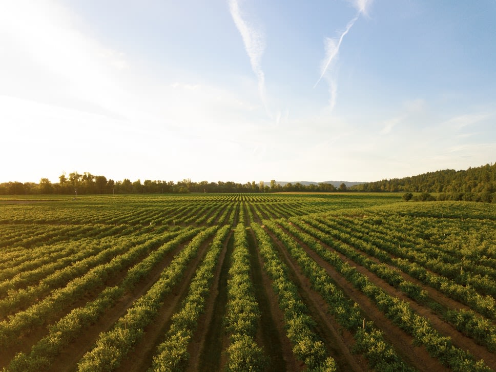 Kasper Faunafood producten vrij van GMO-grondstoffen