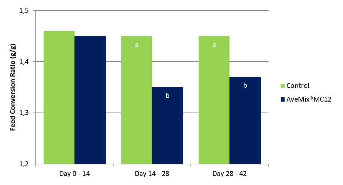 Figure 2 – Feed conversion ratio of the piglets that received the control or AveMix® MC12 treatments. Within each time period, bars labelled with a letter (i.e., a or b) are significantly different from each other (P≤0.05).
