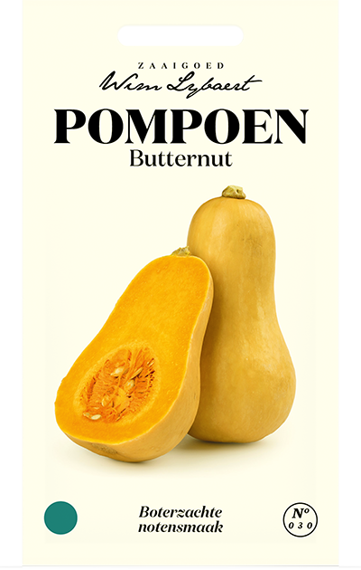 Pompoen Butternut