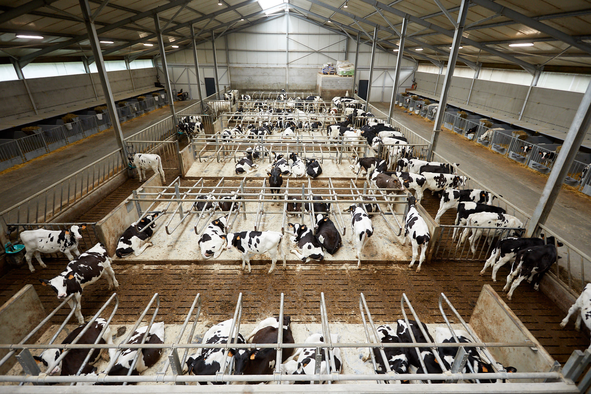 JV_Hittestress_intro