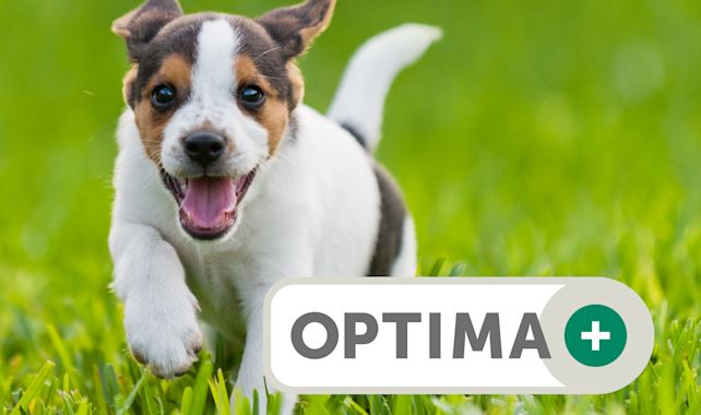 Optima+ premium voeding voor jouw hond - Aveve