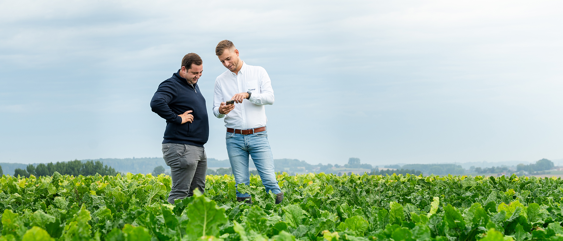 Gerichte investeringen in de toekomst