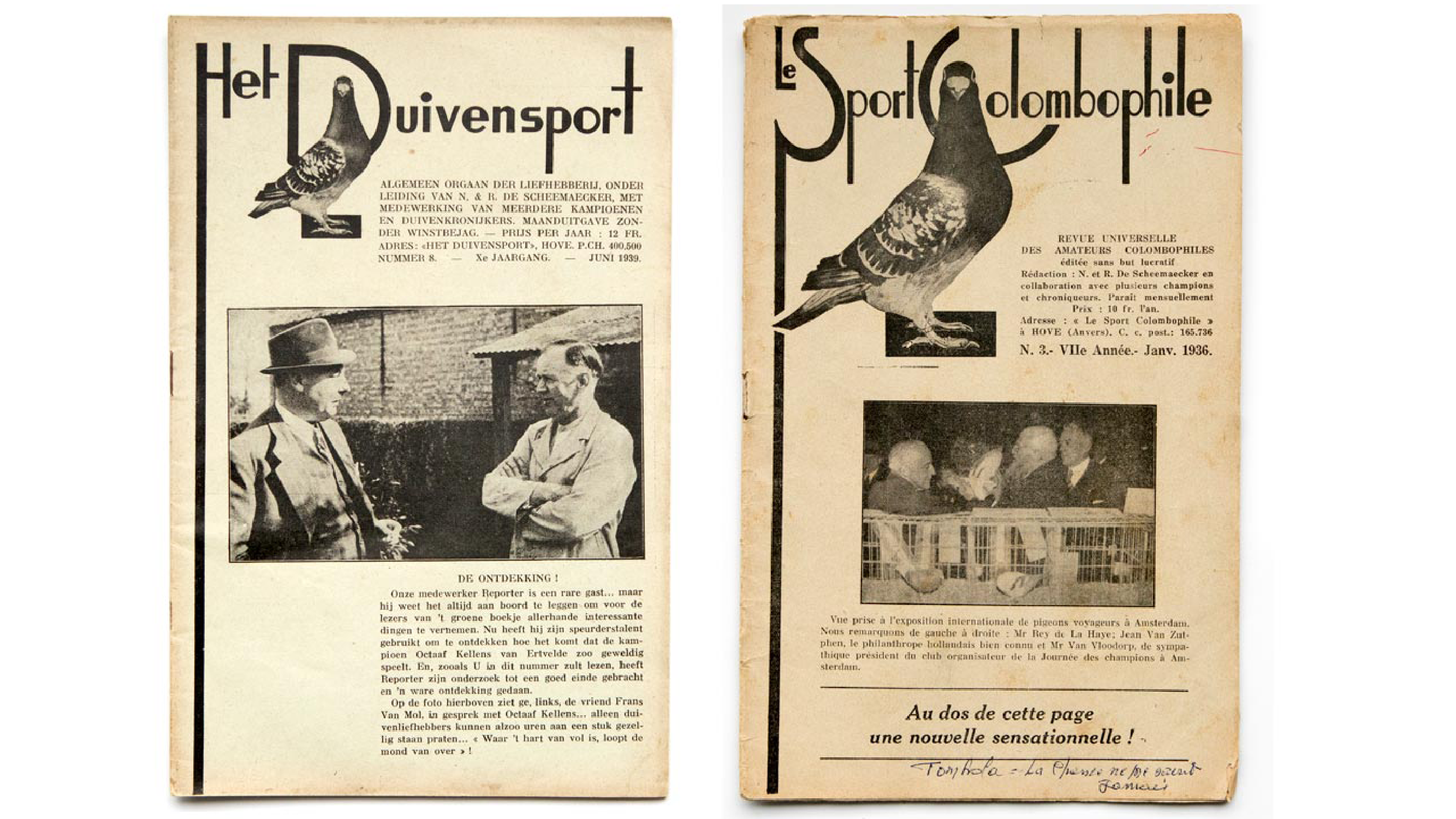 'Het Duivensport',