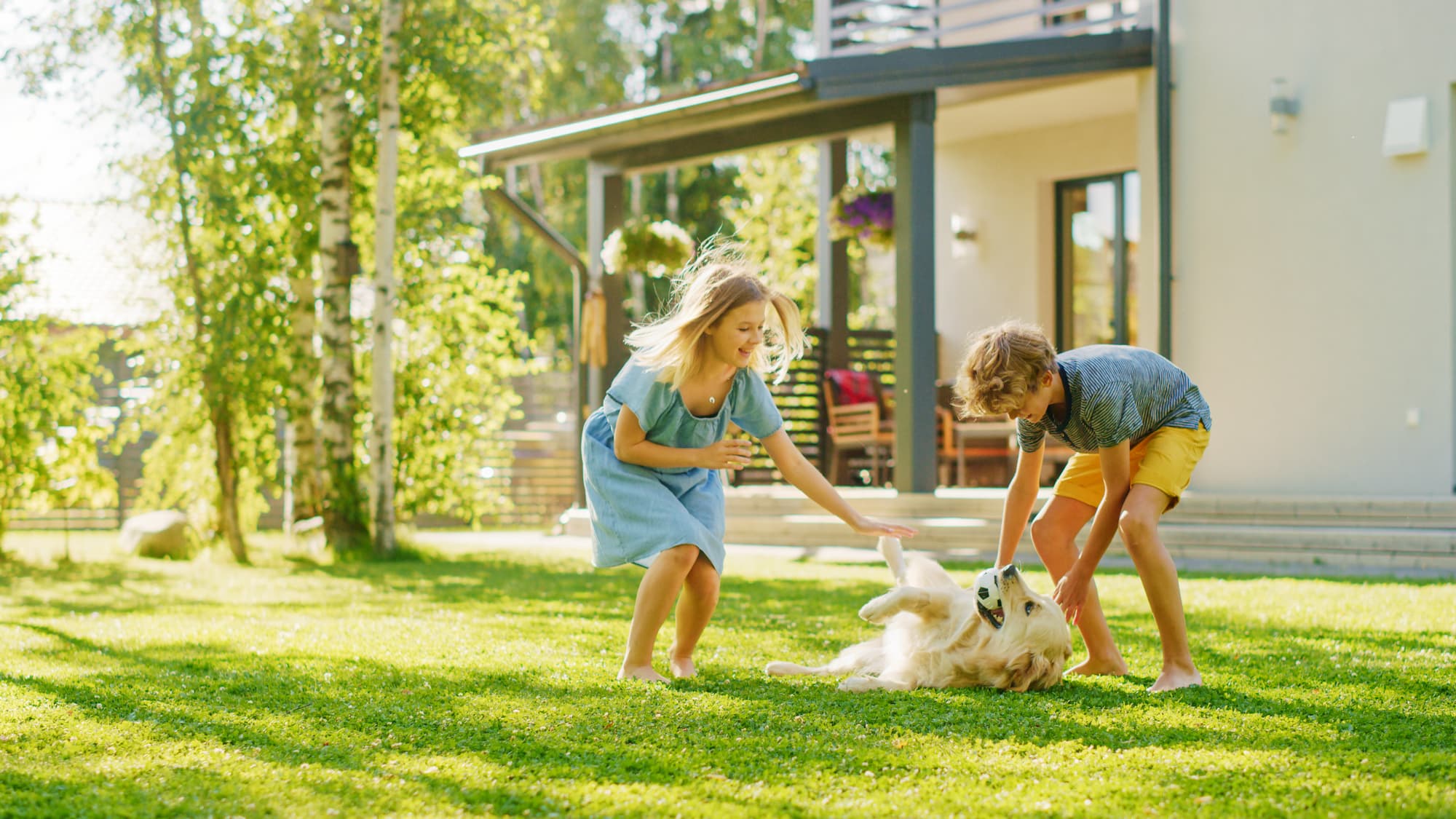 Gamme d'été - enfants jouant avec leur chien dans le jardin - Aveve
