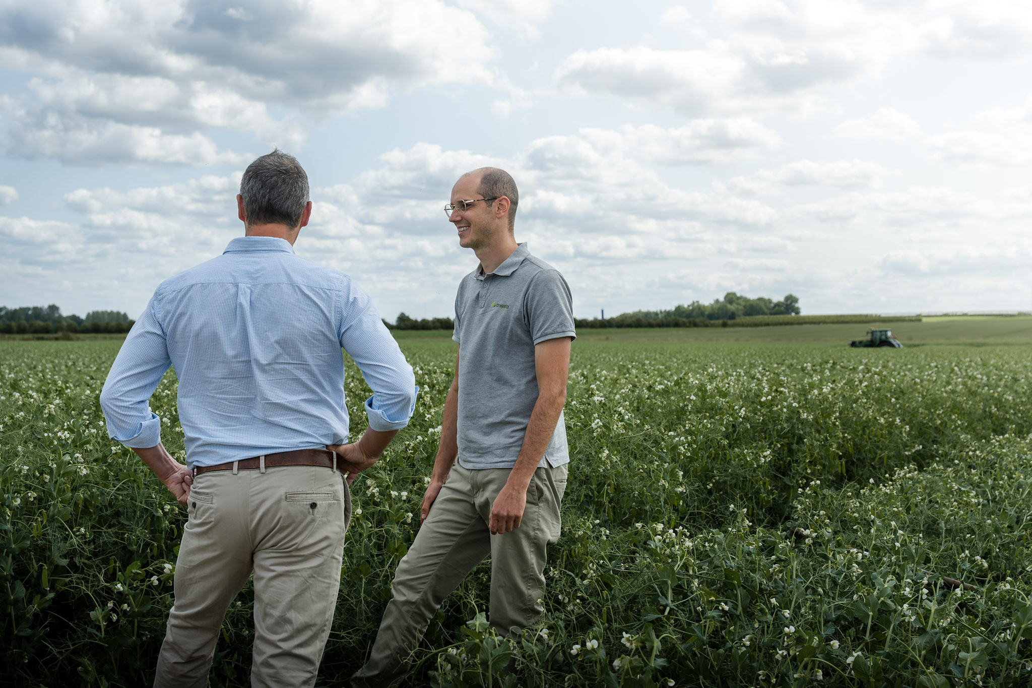 5 Reasons Why Every European Bakery Producer Should Integrate Nuverta Pea Protein and Pea Starch 