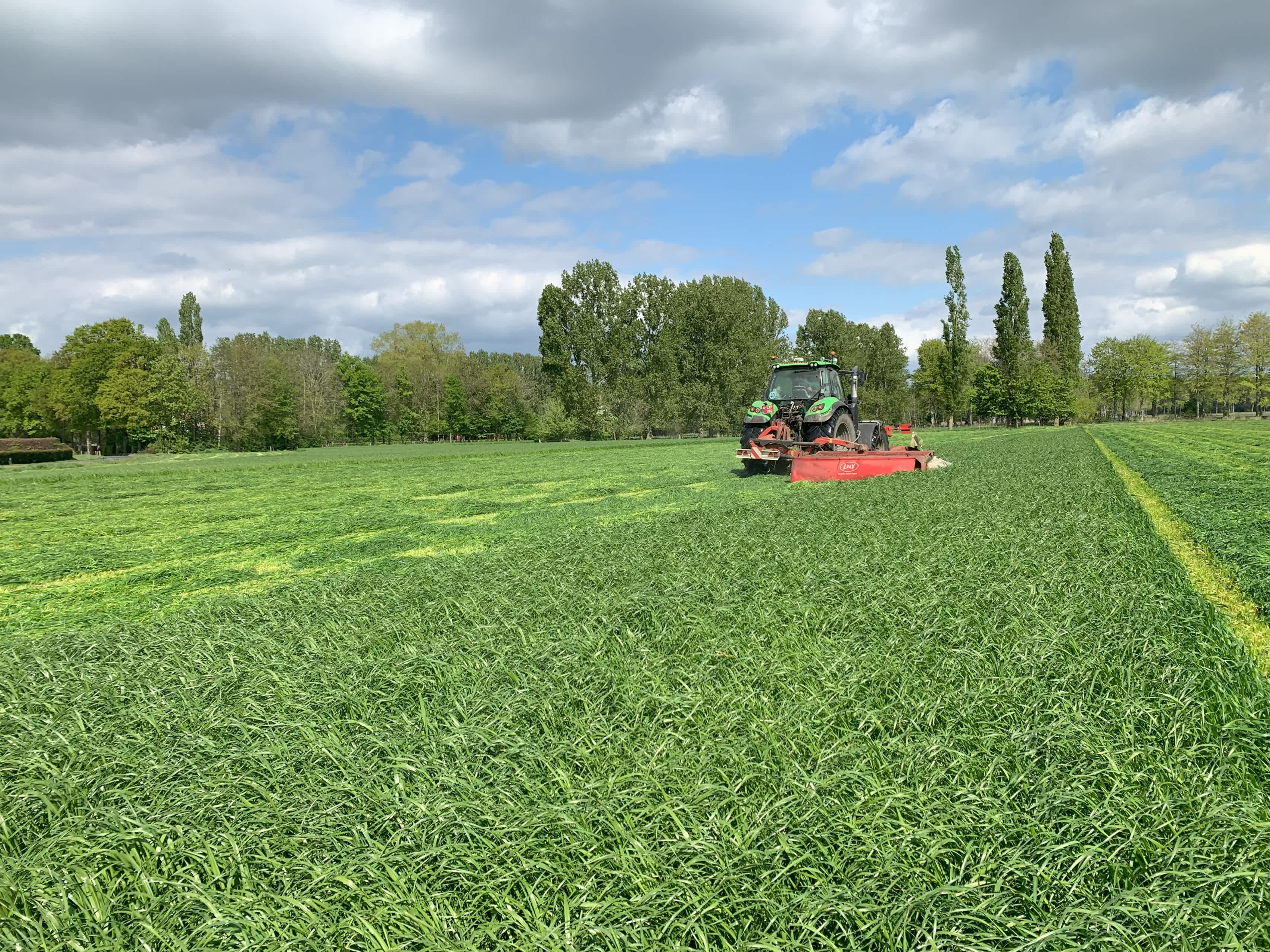 30.05.2025_Nieuwsbrief_AN_Maaien na eerste snede