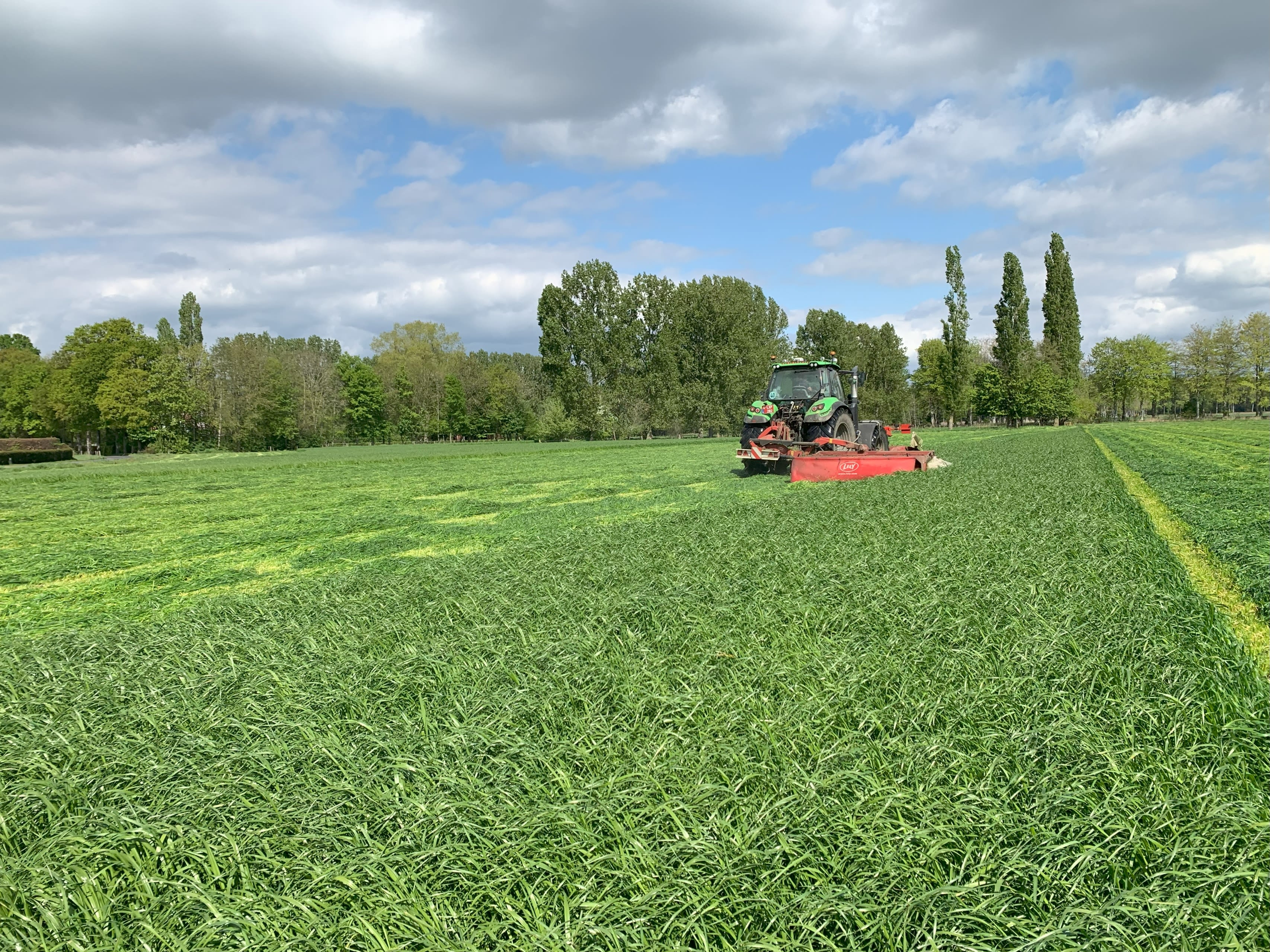 30.05.2025_Nieuwsbrief_AN_Maaien na eerste snede